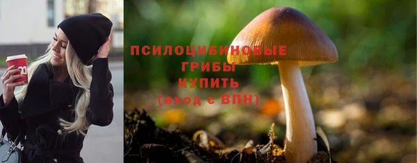 mix Костерёво
