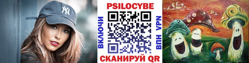 Галлюциногенные грибы Cubensis  Новошахтинск 