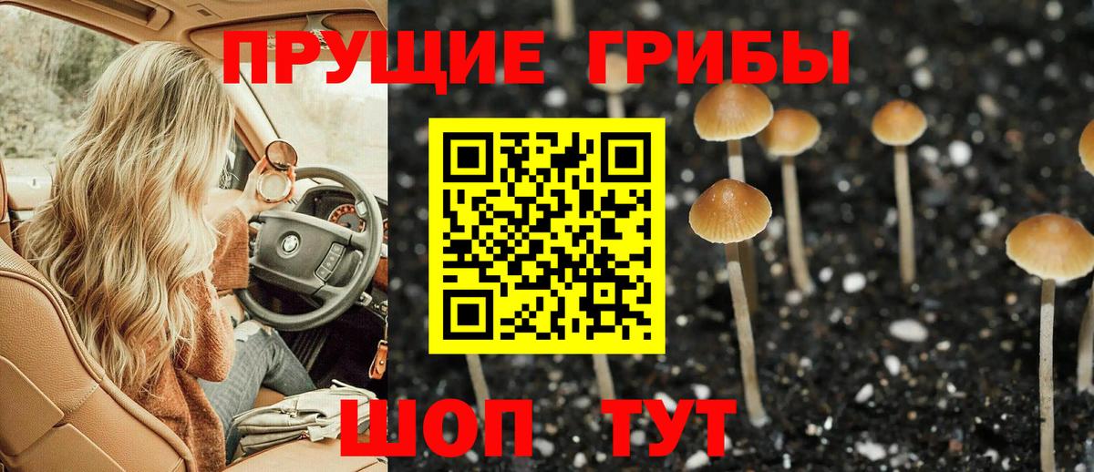 Псилоцибиновые грибы ЛСД Новошахтинск